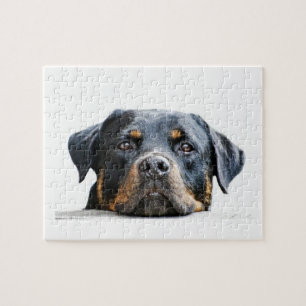 Niedliches Rottweiler   Hundezucht-Gesicht Puzzle