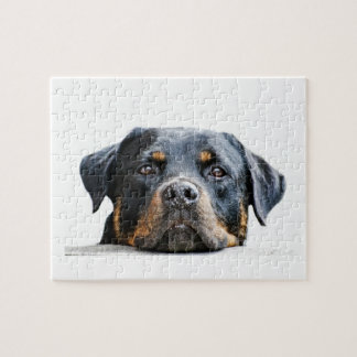 Niedliches Rottweiler | Hundezucht-Gesicht Puzzle