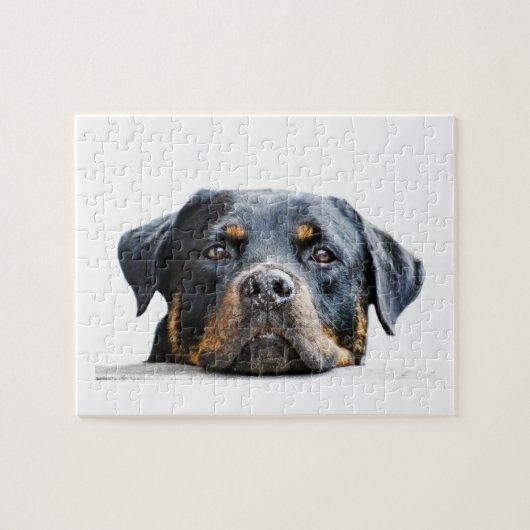 Niedliches Rottweiler | Hundezucht-Gesicht Puzzle (Horizontal)