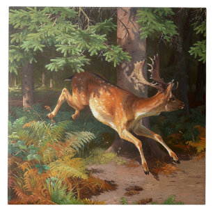 Niedliches Rotwild im Wald Fliese
