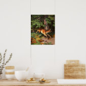 Niedliches Rotwild im Wald Poster (Küche)