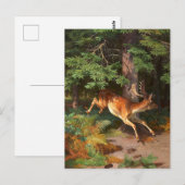 Niedliches Rotwild im Wald Postkarte (Vorne/Hinten)