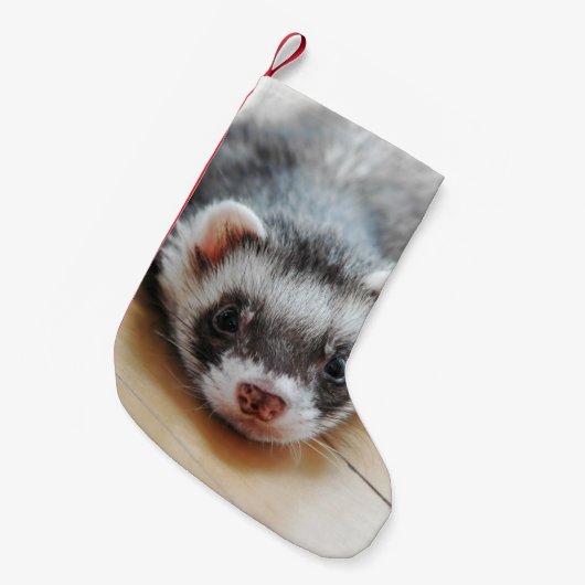 Niedliches Sable Ferret Kleiner Weihnachtsstrumpf (Vorderansicht (hängend))