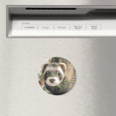 Niedliches Sable Ferret Magnet (In Situ (Geschirrspüler))