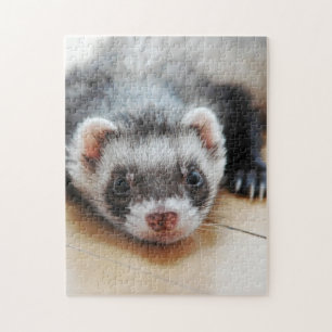 Niedliches Sable Ferret Puzzle