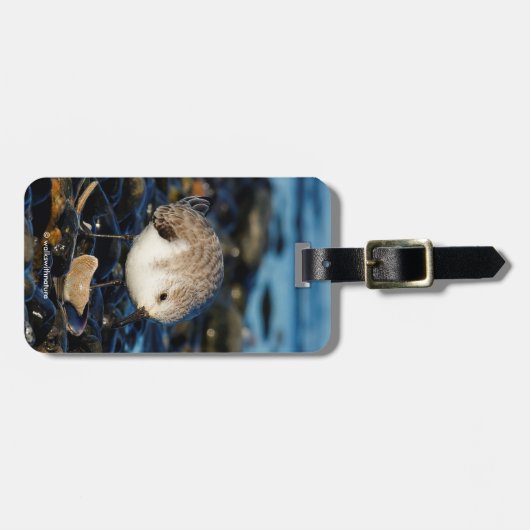 Niedliches Sanderling genießt Meeresfrüchte Essen Gepäckanhänger (Vorderseite horizontal)