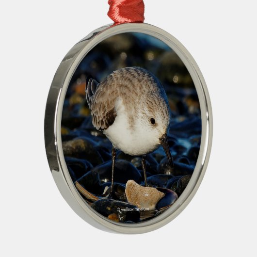 Niedliches Sanderling Sandpiper Enjoys Seaside Din Silbernes Ornament (Rechts)