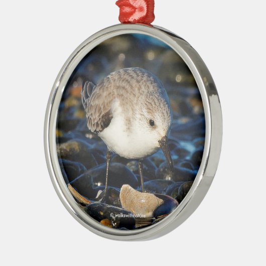 Niedliches Sanderling Sandpiper Enjoys Seaside Din Silbernes Ornament (Links)