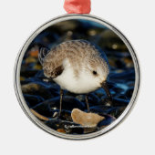 Niedliches Sanderling Sandpiper Enjoys Seaside Din Silbernes Ornament (Vorne)