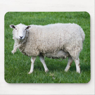 Niedliches Schaf Mousepad