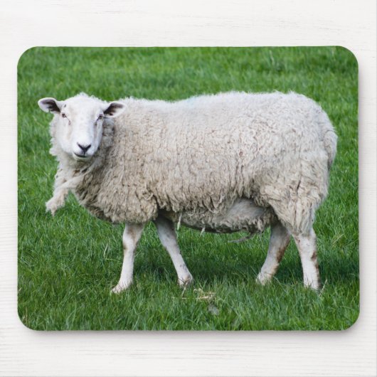 Niedliches Schaf Mousepad (Vorne)