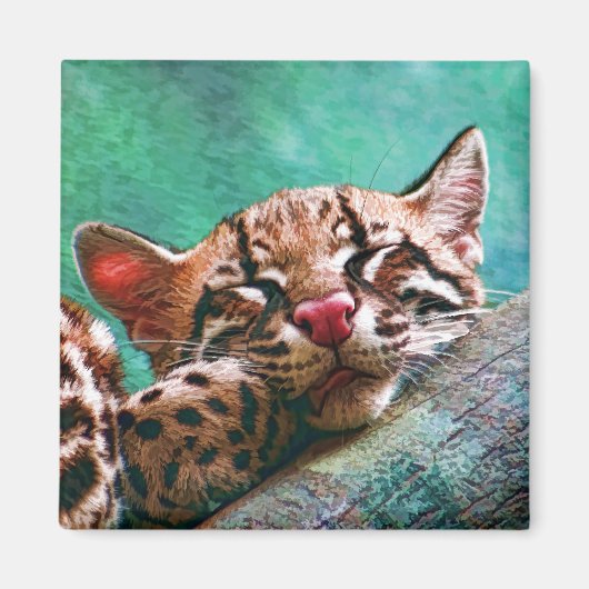 Niedliches Schlafbaby Ocelot Kitten Magnet (Vorne)