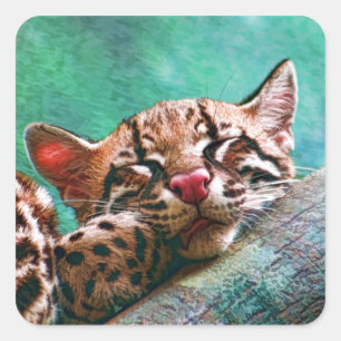 Niedliches Schlafbaby Ocelot Kitten Quadratischer Aufkleber