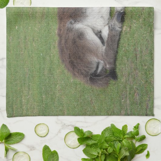 Niedliches Schlafen Donkey Baby Foal Geschirrtuch (Gefaltet)