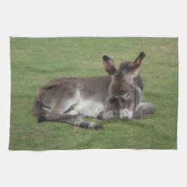 Niedliches Schlafen Donkey Baby Foal Geschirrtuch