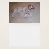 Niedliches Schlafen Goldener Retriever mit Spielze (Vorne & Hinten)