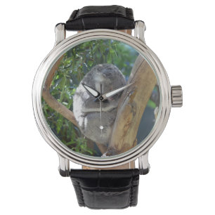 Niedliches Schlafen Koala in Bäumen Armbanduhr