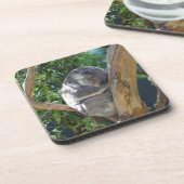 Niedliches Schlafen Koala in Bäumen Getränkeuntersetzer (Linke Seite)