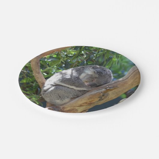 Niedliches Schlafen Koala in Bäumen Pappteller (Schrägansicht)