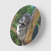 Niedliches Schlafen Koala in Bäumen Runde Wanduhr (Winkel)