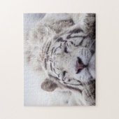 Niedliches Schlafen White Tiger Puzzle (Vertikal)