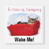 Niedliches Schlafkätzchen in hellrotem Korb nach M Magnet (Vorne)