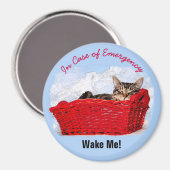 Niedliches Schlafkätzchen in rotem Korb, benutzerd Magnet (Vorderseite/Rückseite)