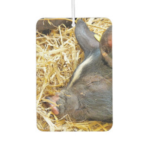 NIEDLICHES SCHLAFSCHWEIN AUTOLUFTERFRISCHER