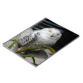 Niedliches Schneeauwl Notizblock (Linke Seite)