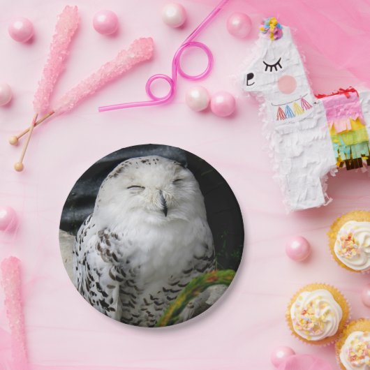 Niedliches Schneeauwl Pappteller (Party)