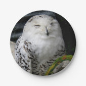 Niedliches Schneeauwl Pappteller (Vorderseite)