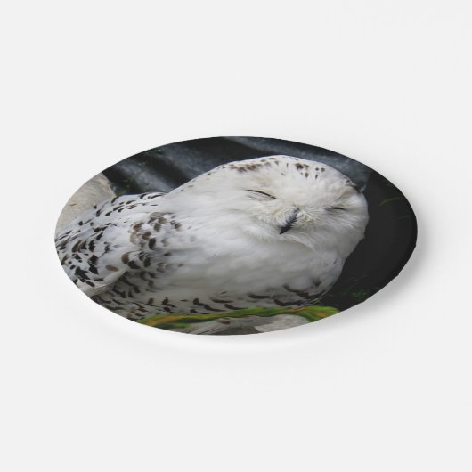 Niedliches Schneeauwl Pappteller (Schrägansicht)