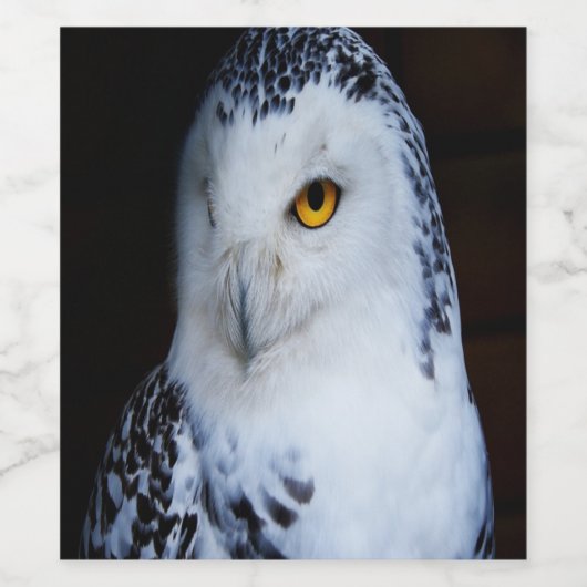 Niedliches Schneeauwl Weinetikett (Einzelnes Label)