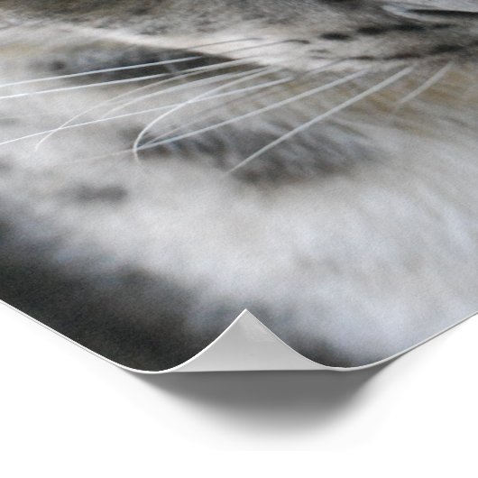 Niedliches Schneeleopard-Poster Poster (Ecke)