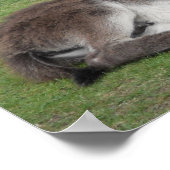 Niedliches Schokoladenkaffee Schlafen Poster (Ecke)