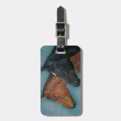 niedliches Schwarz-Fohlen-Forelle Gepäckanhänger (Vorderseite vertikal)