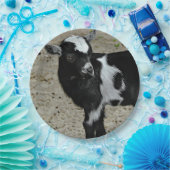 Niedliches Schwarz-Weiß-Baby-Ziege-Foto Pappteller (Party)