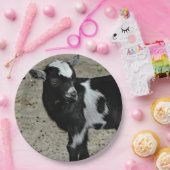 Niedliches Schwarz-Weiß-Baby-Ziege-Foto Pappteller (Party)