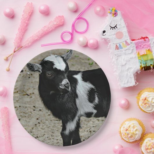 Niedliches Schwarz-Weiß-Baby-Ziege-Foto Pappteller (Party)