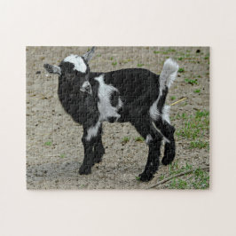 Niedliches Schwarz-Weiß-Baby-Ziege-Foto Puzzle