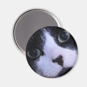Niedliches Schwarz-Weiß-Katzengesicht Magnet (Vorderseite/Rückseite)