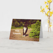 Niedliches Schwarz/Weiß Tuxedo Cat Foto Beileid Karte (Gelbe Blume)