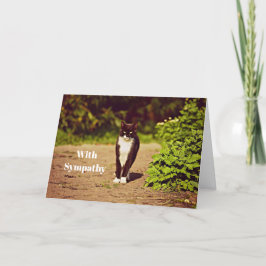 Niedliches Schwarz/Weiß Tuxedo Cat Foto Beileid Karte