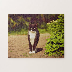 Niedliches Schwarz-Weiß-Tuxedo-Kat-Foto Puzzle