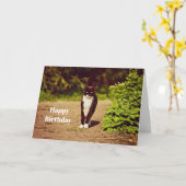 Niedliches Schwarz-Weiß-Tuxedo-Katze Foto Geburtst Karte (Gelbe Blume)