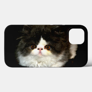 Niedliches Schwarz-weißes Kätzchen Foto Case-Mate iPhone Hülle