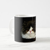 Niedliches Schwarz-weißes Katzenragdoll Foto Kaffeetasse (Vorderseite Links)