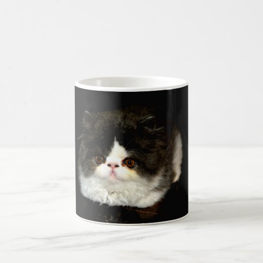 Niedliches Schwarz-weißes Katzenragdoll Foto Kaffeetasse (Mittel)