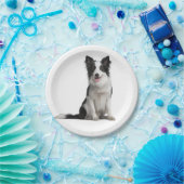 Niedliches Schwarz-weißes Puppy-Dose-Border-Collie Pappteller (Party)