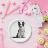 Niedliches Schwarz-weißes Puppy-Dose-Border-Collie Pappteller (Party)
